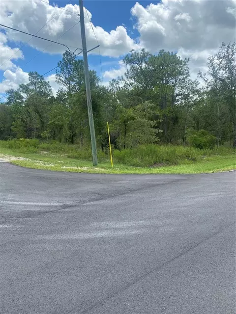13183 English Fir Ct, Weeki Wachee, FL 34614