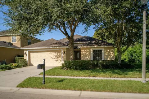 5555 Shasta Daisy Pl, Land O Lakes, FL 34639