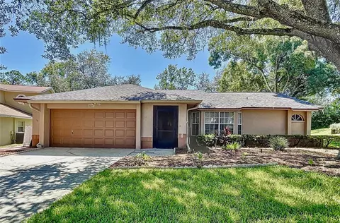 2241 Tinder Ct, Land O Lakes, FL 34639