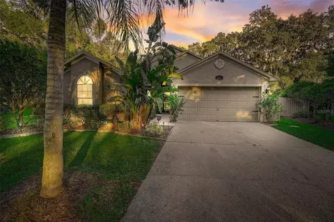 711 Valencia Woods Ct, Seffner, FL 33584
