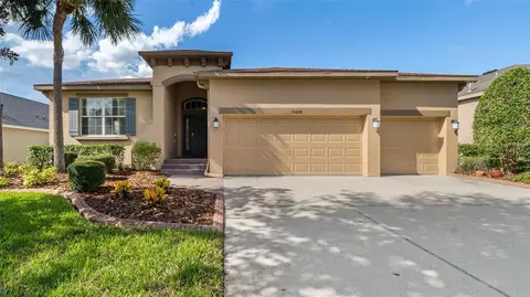 15654 Starling Water Dr, Lithia, FL 33547