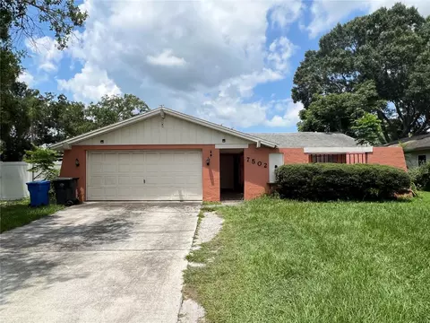 7502 Armand Cir, Tampa, FL 33634