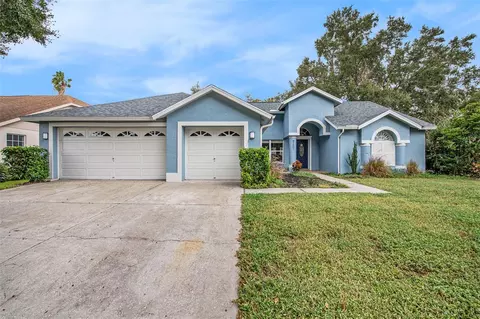 9201 Sunflower Dr, Tampa, FL 33647