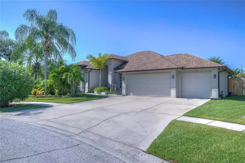 1316 Hatcher Loop Dr, Brandon, FL 33511