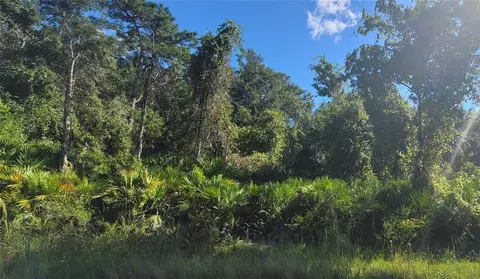10684 Naper St, New Port Richey, FL 34654