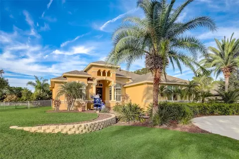 12529 Twin Branch Acres Rd, Tampa, FL 33626