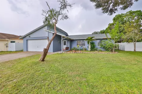 6516 Secrest Ct, Tampa, FL 33625