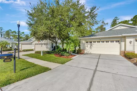 3250 Chapel Creek Cir, Wesley Chapel, FL 33544