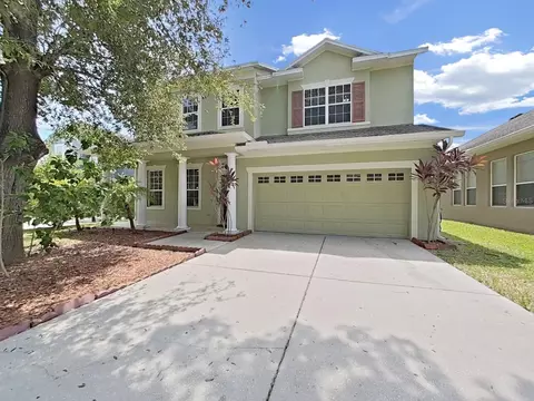 6310 Sea Lavender Ln, Tampa, FL 33625