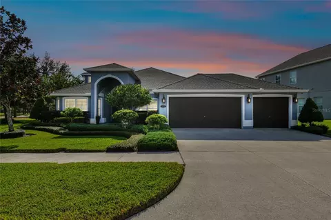 19302 Yellow Clover Dr, Tampa, FL 33647
