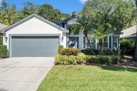 9131 Cliff Lake Ln, Tampa, FL 33614