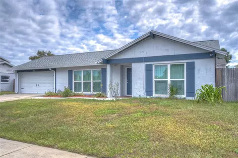 12513 Brucie Pl, Tampa, FL 33625