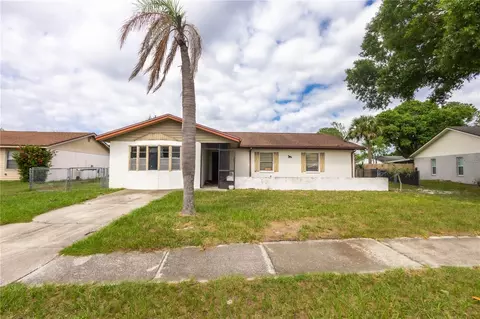 10906 Tailfeather Ct, Tampa, FL 33625