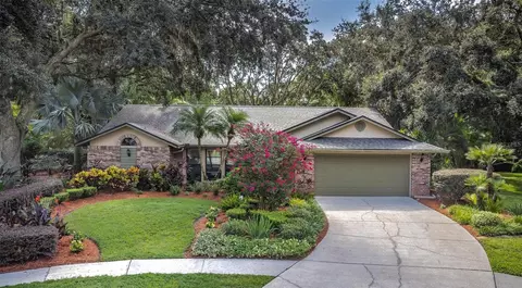 4005 Carenon Ln, Valrico, FL 33596