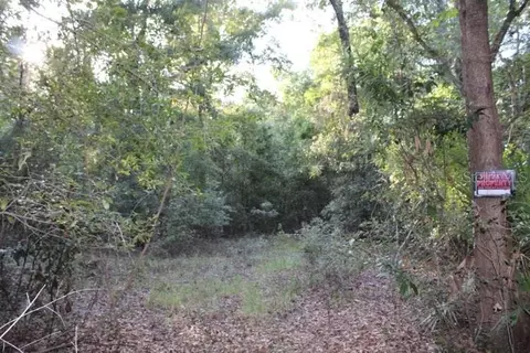 Leg 4.85 Acres Lot 78 Tri-river Farms, Branford, FL 32008