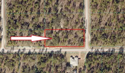 lot20 SW Neptune, Dunnellon, FL 34431