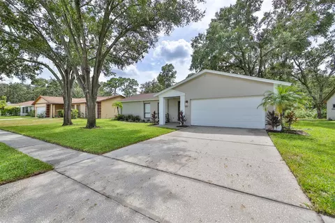 627 Sandy Creek Dr, Brandon, FL 33511