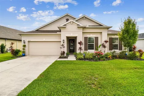 30236 Five Farms Ave, Wesley Chapel, FL 33543