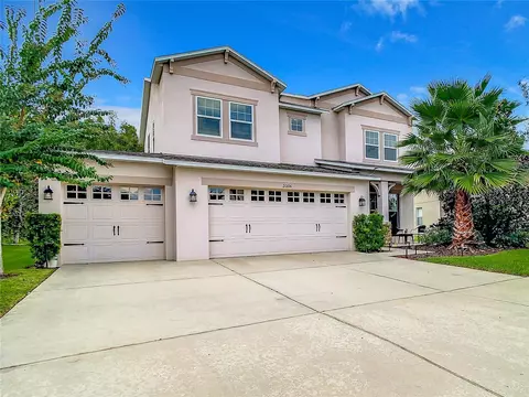 20106 Bluff Oak Blvd, Tampa, FL 33647