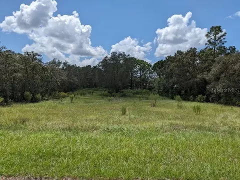 16654 Kerry Hills Ln, Spring Hill, FL 34610
