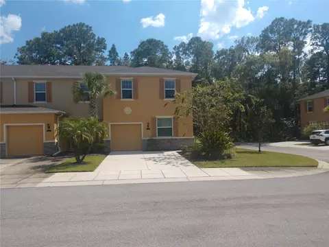 8325 Pine River Rd, Tampa, FL 33637
