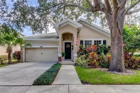 8220 Lagerfeld Dr, Land O Lakes, FL 34637