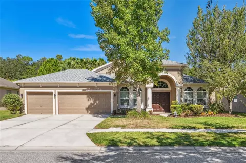 20324 Natures Corner Dr, Tampa, FL 33647