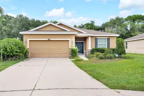 2825 Holly Bluff Ct, Plant City, FL 33566