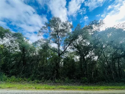 Elaine Drive, Webster, FL 33597