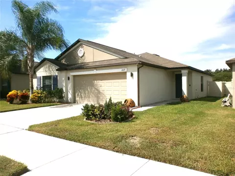 12633 Lemon Pepper Dr, Riverview, FL 33578 photo 1