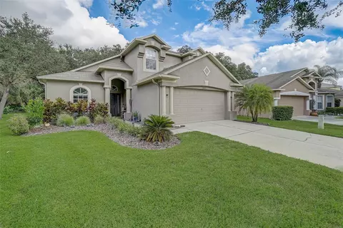 10480 Lucaya Dr, Tampa, FL 33647