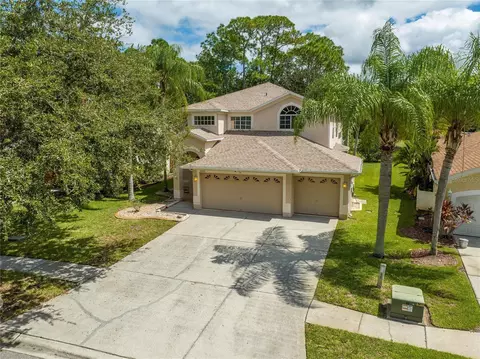 16018 Shinnecock Dr, Odessa, FL 33556