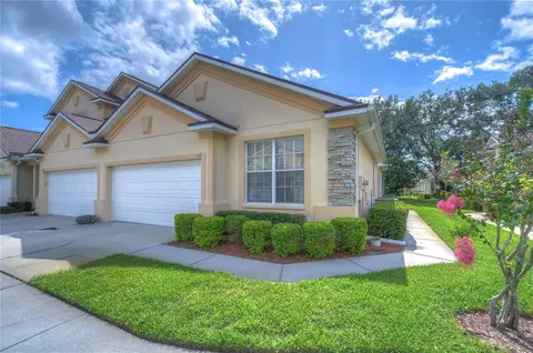 1123 Georgia Trace Ave, Valrico, FL 33596