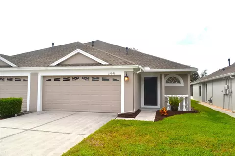 19246 Gophertrail Pl, Land O Lakes, FL 34638