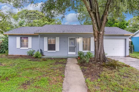 1095 Henry Balch Dr, Orlando, FL 32810