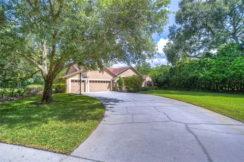 920 Shaded Water Way, Lutz, FL 33549