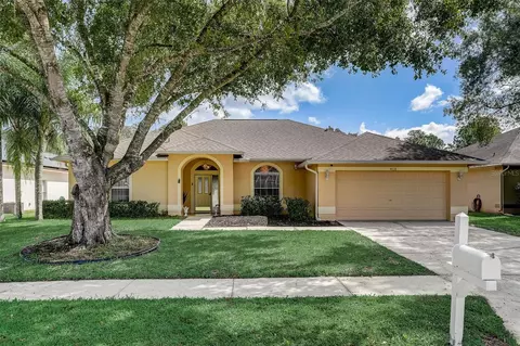 4838 Basswood St, Land O Lakes, FL 34639