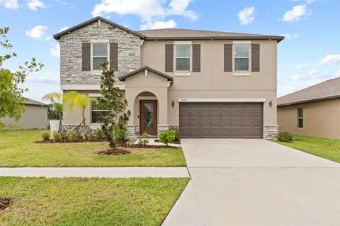 13633 Wild Ginger St, Riverview, FL 33579 photo 1