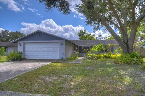 742 Caliente Dr, Brandon, FL 33511