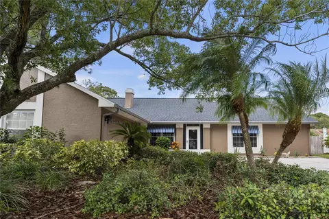 16602 Mandy Ln, Tampa, FL 33618