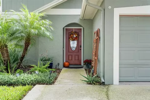 5119 Corvette Dr, Tampa, FL 33624