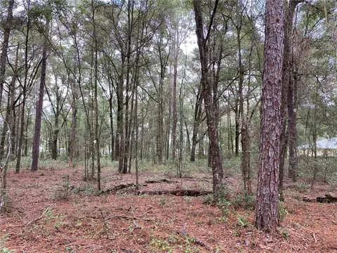 SW 39th Lane, Ocala, FL 34481