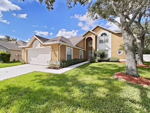 8502 Goldfinch Ct, Tampa, FL 33647