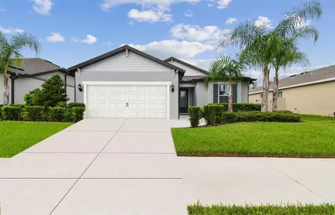 12041 Orchid Ash St, Riverview, FL 33579