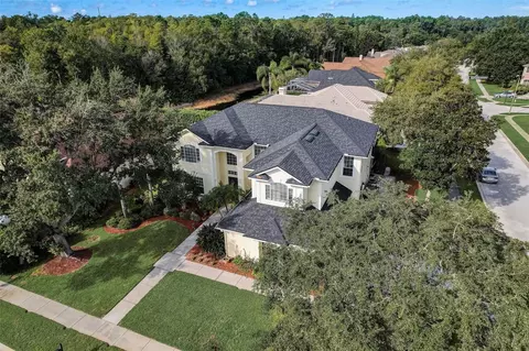4158 Auston Way, Palm Harbor, FL 34685