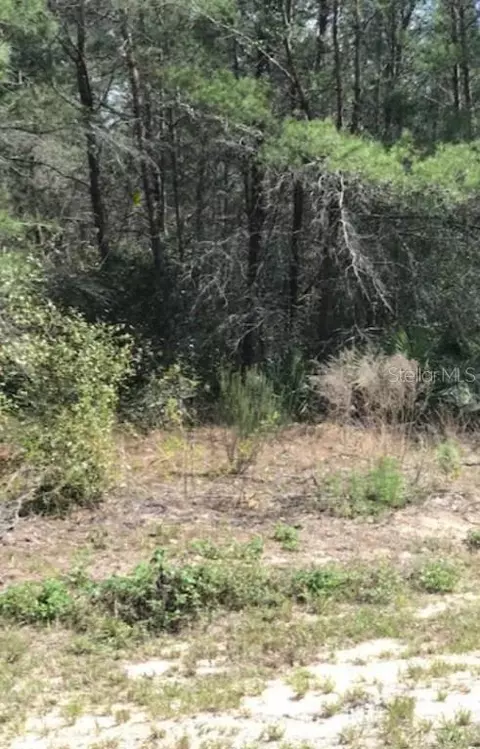 Sw 152nd Lane Road, Ocala, FL 34473
