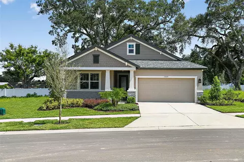 1009 Davis Heather Cir, Seffner, FL 33584