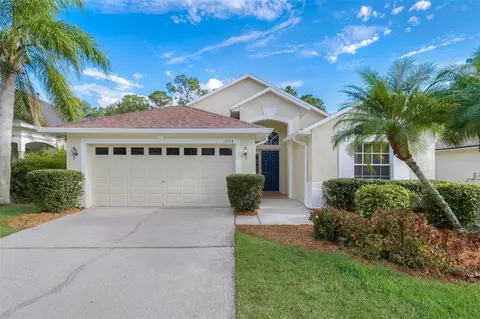 12514 Blazing Star Dr, Tampa, FL 33626