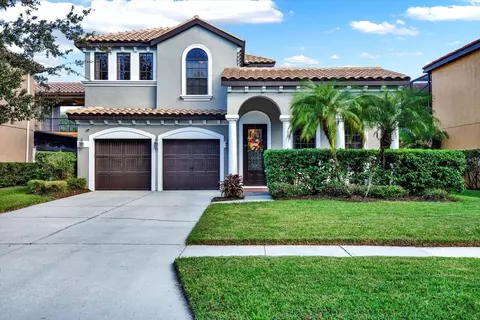 20345 Chestnut Grove Dr, Tampa, FL 33647