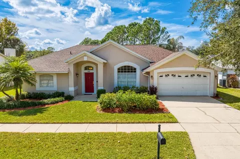 9149 Rockrose Dr, Tampa, FL 33647